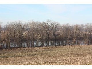 Property photo 5 - LAND AUCTION - 60+/- ACRES IN 1 TRACT IN DAVIESS COUNTY, INDIANA